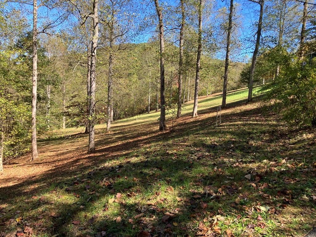 121 White Oak Drive, Warne NC 28909 - Photo