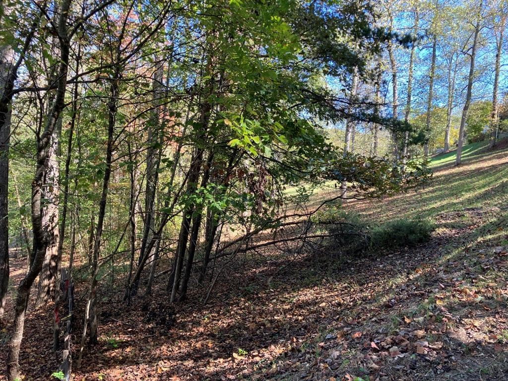 121 White Oak Drive, Warne NC 28909 - Photo