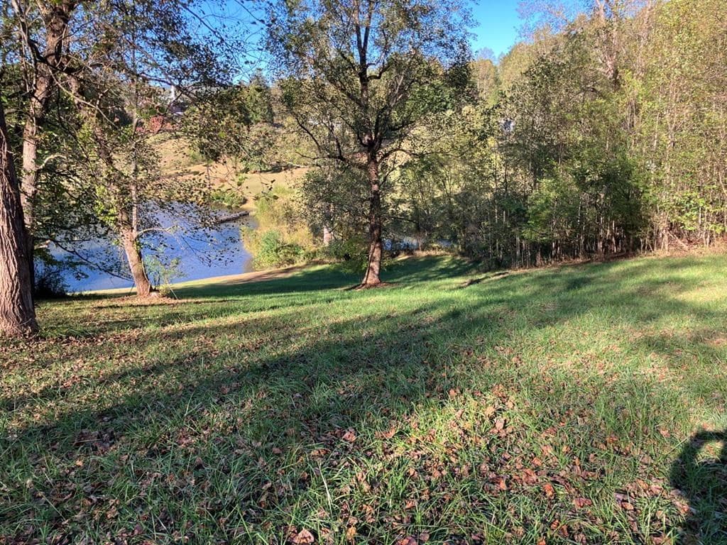 121 White Oak Drive, Warne NC 28909 - Photo
