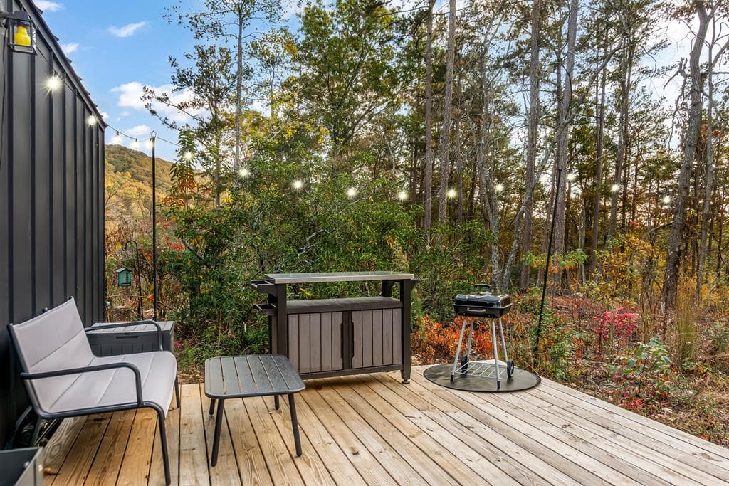 115 Raleigh Ridge Drive, Blue Ridge GA 30513 - Photo