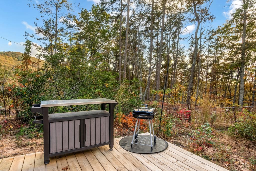 115 Raleigh Ridge Drive, Blue Ridge GA 30513 - Photo