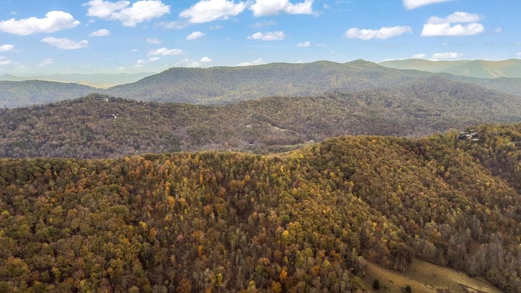 115 Raleigh Ridge Drive, Blue Ridge GA 30513 - Photo