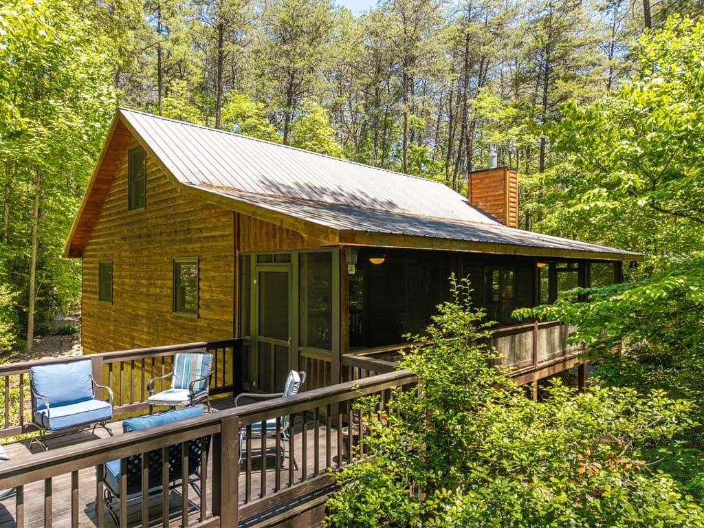 284 The Woods Road, Mineral Bluff GA 30559 - Photo