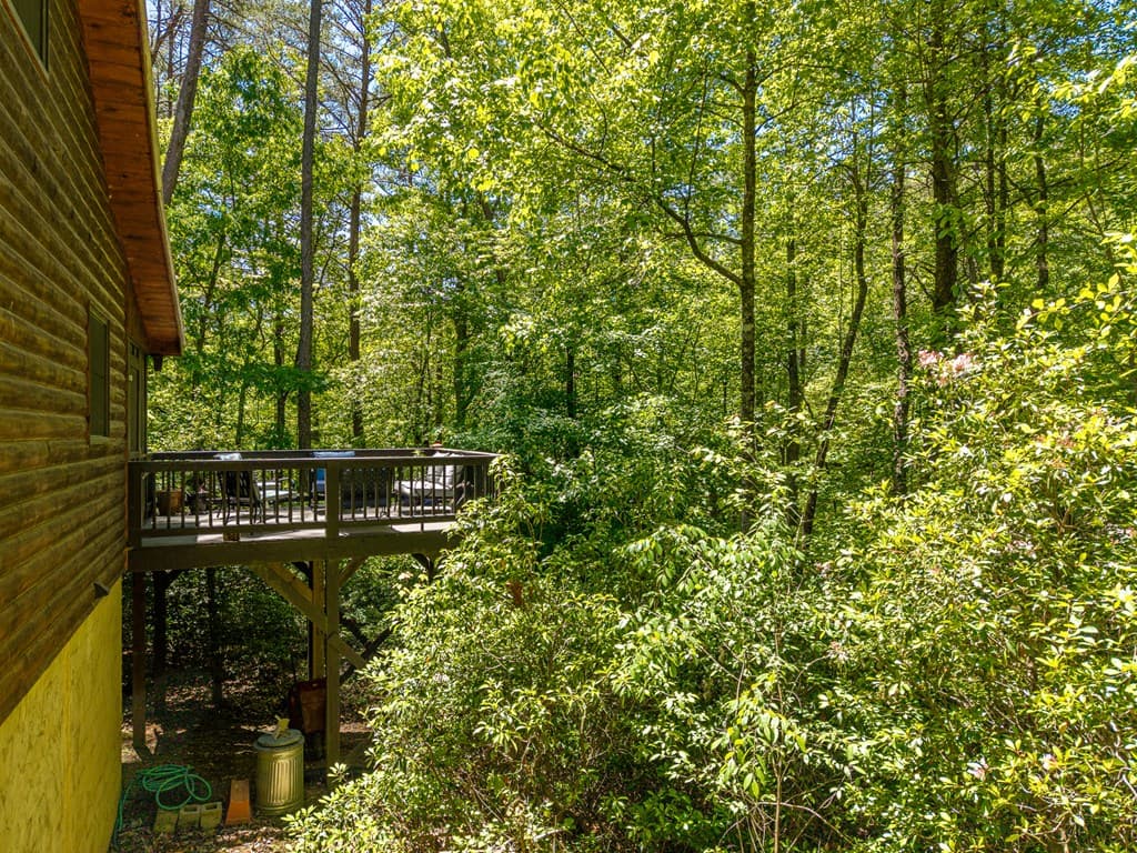 284 The Woods Road, Mineral Bluff GA 30559 - Photo