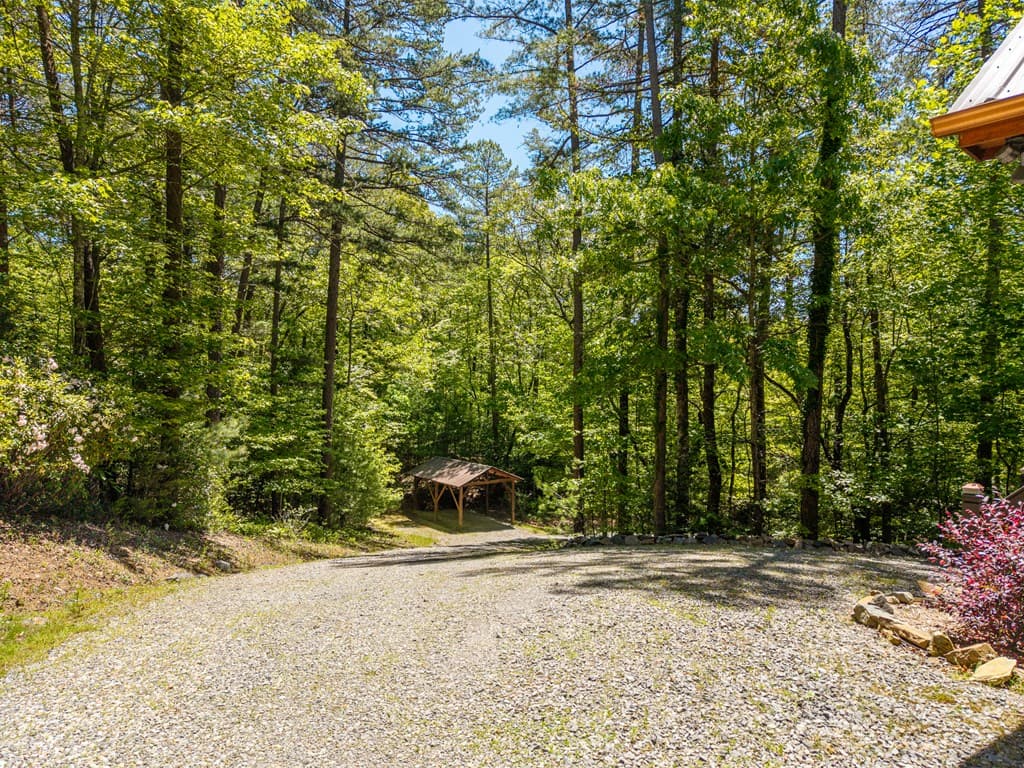 284 The Woods Road, Mineral Bluff GA 30559 - Photo