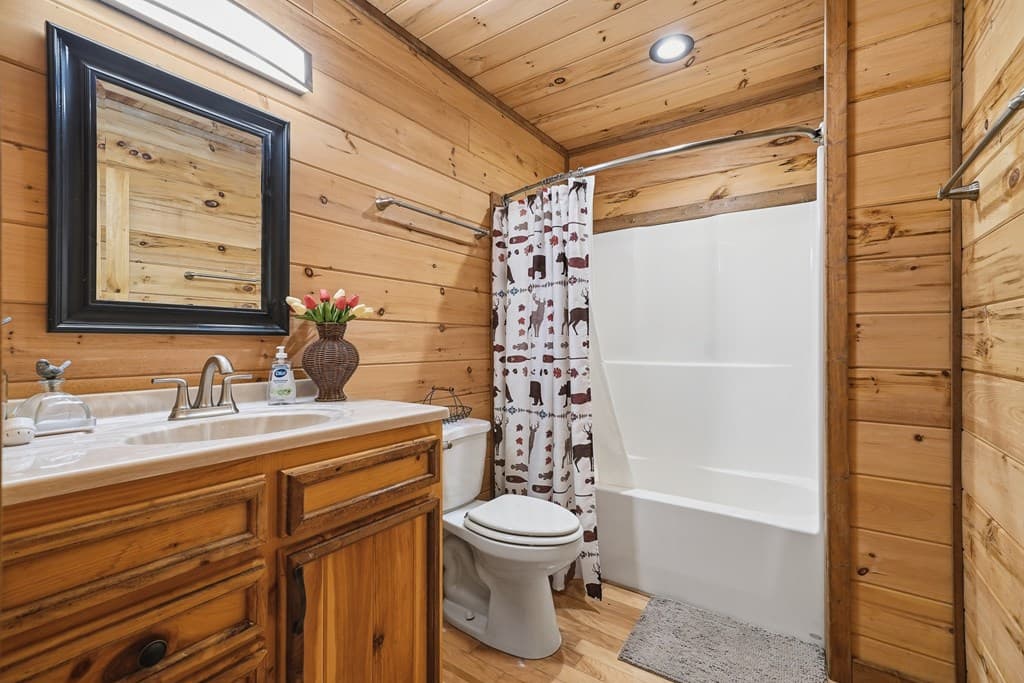 284 The Woods Road, Mineral Bluff GA 30559 - Photo