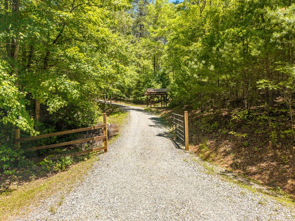 284 The Woods Road, Mineral Bluff GA 30559 - Photo