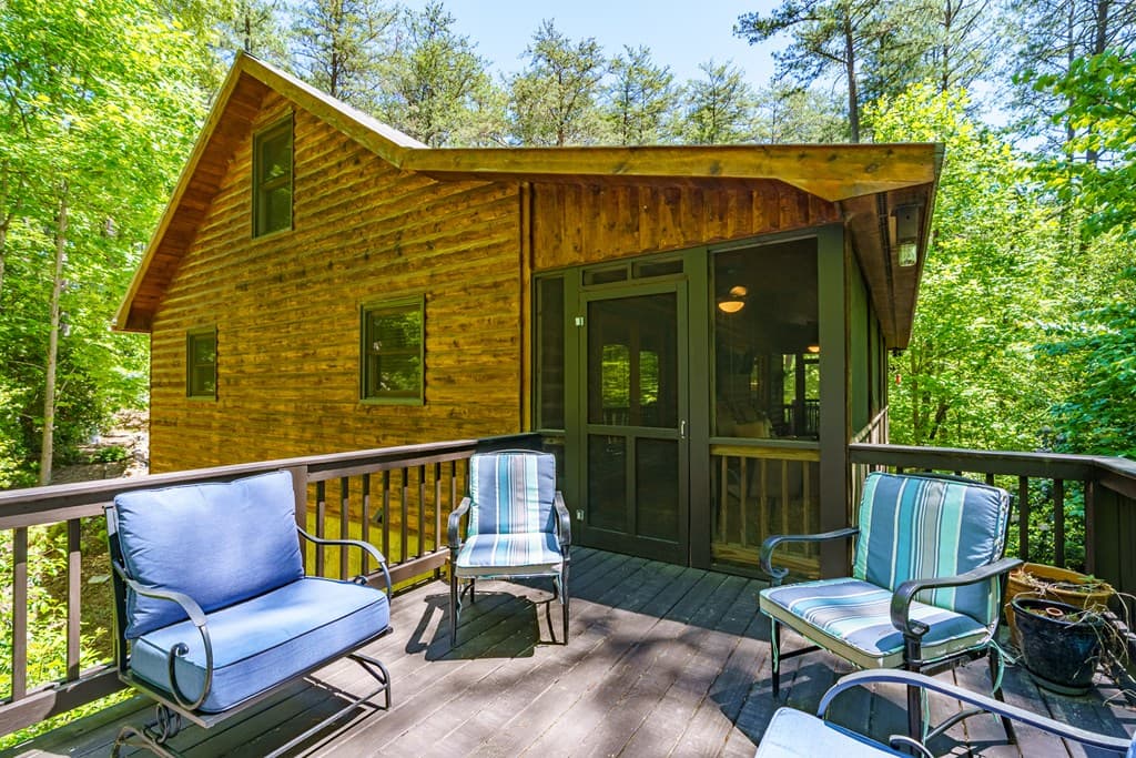 284 The Woods Road, Mineral Bluff GA 30559 - Photo