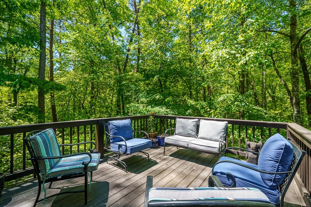 284 The Woods Road, Mineral Bluff GA 30559 - Photo