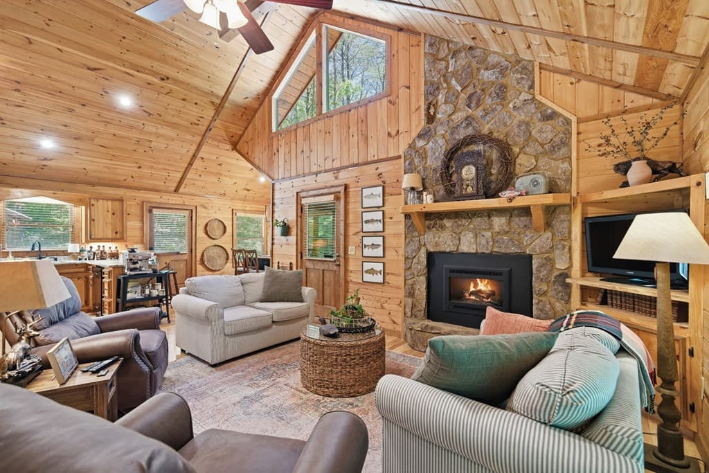 284 The Woods Road, Mineral Bluff GA 30559 - Photo