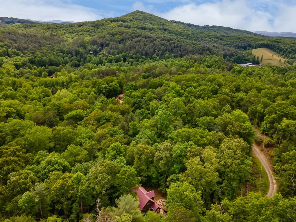 294 Oakwood Trail, Mineral Bluff GA 30559 - Photo