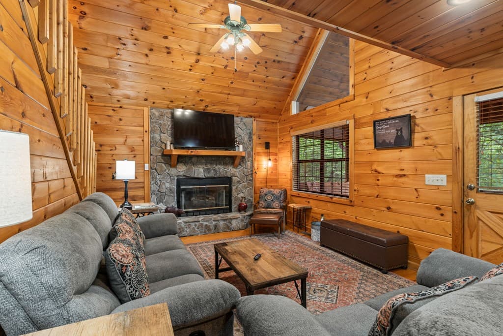 294 Oakwood Trail, Mineral Bluff GA 30559 - Photo
