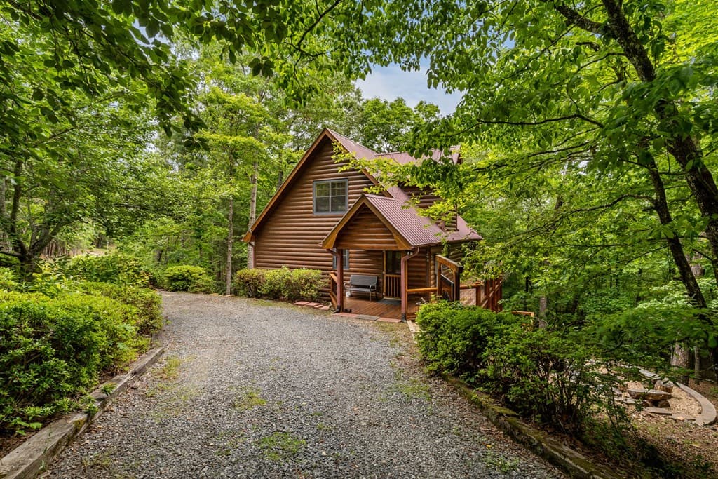 294 Oakwood Trail, Mineral Bluff GA 30559 - Photo