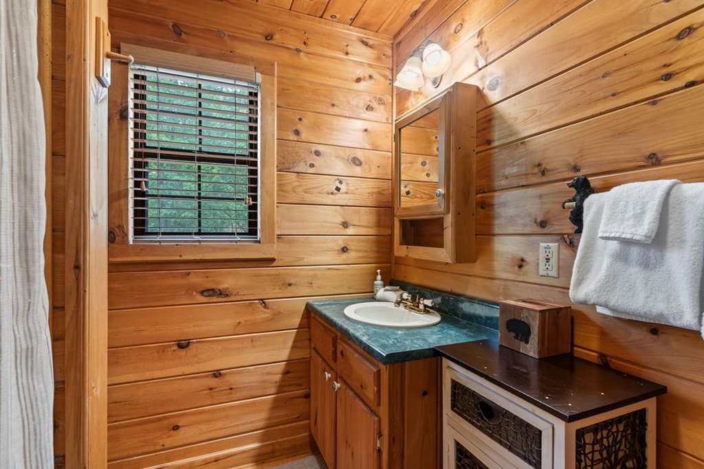 294 Oakwood Trail, Mineral Bluff GA 30559 - Photo