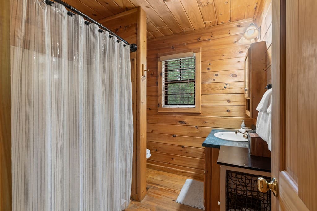294 Oakwood Trail, Mineral Bluff GA 30559 - Photo