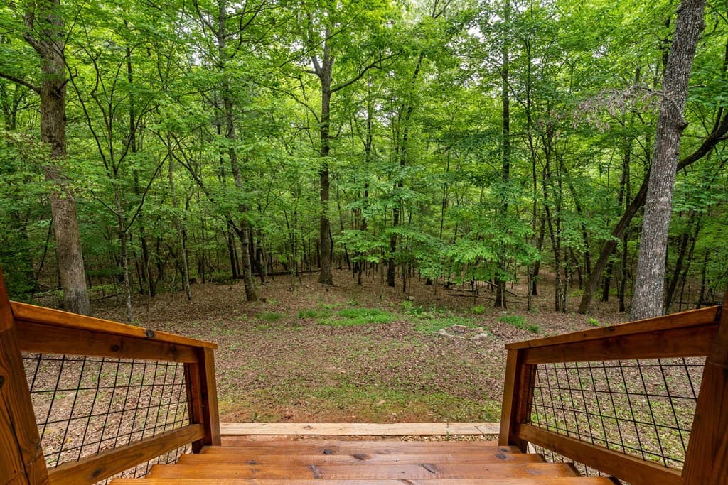 294 Oakwood Trail, Mineral Bluff GA 30559 - Photo