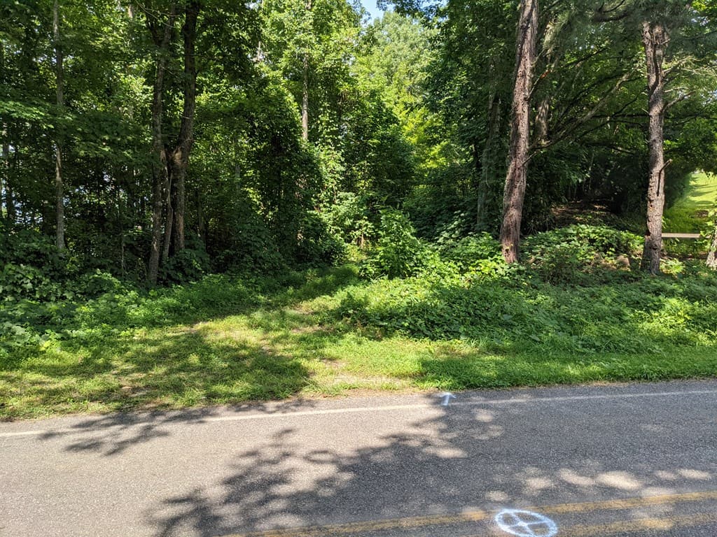 000 Town Mountain Road, Hayesville NC 28906 - Photo