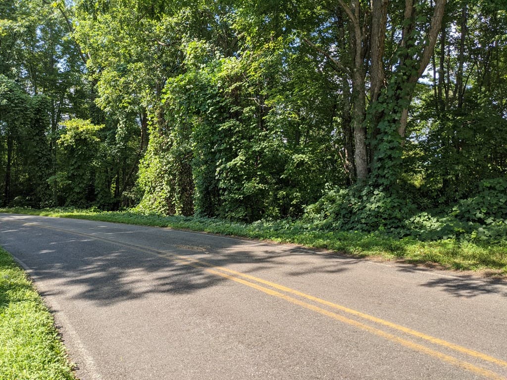 000 Town Mountain Road, Hayesville NC 28906 - Photo