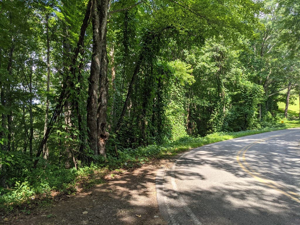 000 Town Mountain Road, Hayesville NC 28906 - Photo