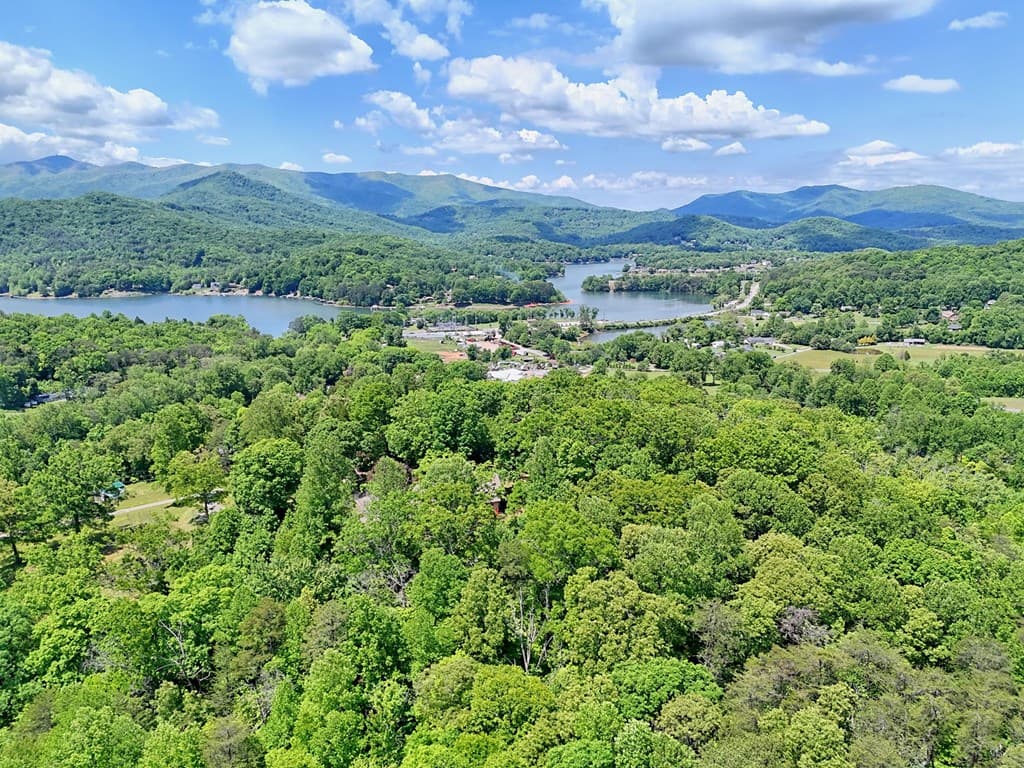 792 Bugscuffle Road, Hiawassee GA 30546 - Photo