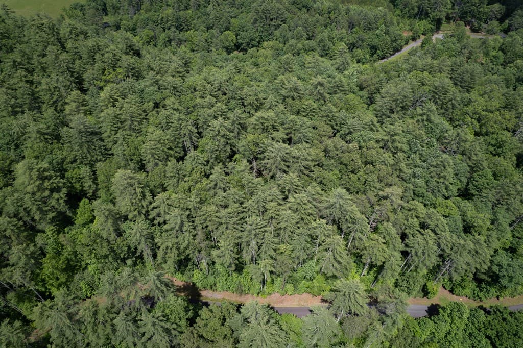TBD Spectacular, Hayesville NC 28904 - Photo