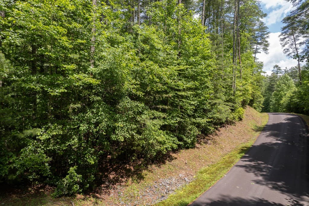 TBD Spectacular, Hayesville NC 28904 - Photo