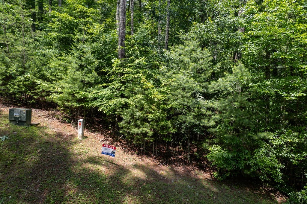 TBD Spectacular, Hayesville NC 28904 - Photo