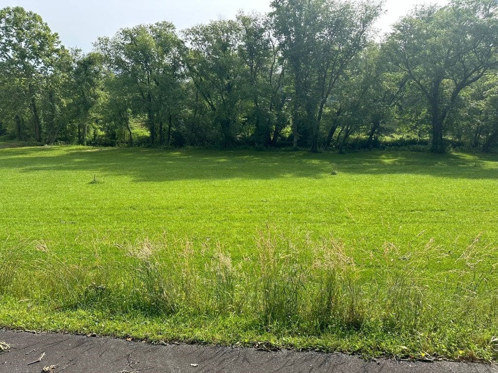 Lot 50 Brasstown Trails, Warne NC 28909 - Photo