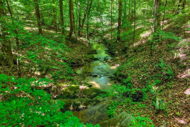 565 Catawba Circle, Ellijay GA 30540 - Photo