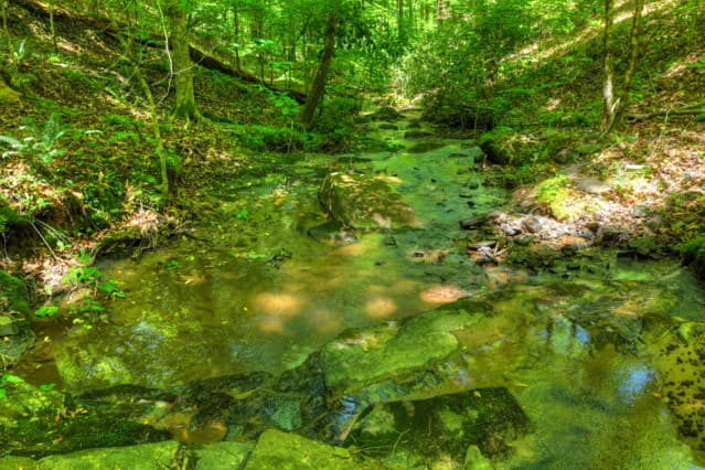 565 Catawba Circle, Ellijay GA 30540 - Photo