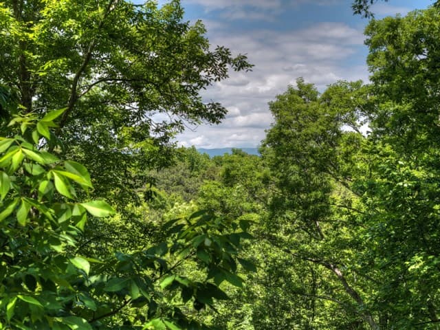 565 Catawba Circle, Ellijay GA 30540 - Photo