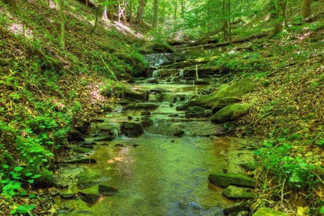 565 Catawba Circle, Ellijay GA 30540 - Photo