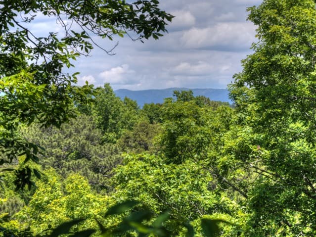 565 Catawba Circle, Ellijay GA 30540 - Photo