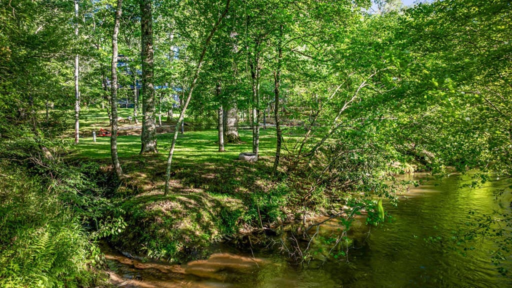 390 Sunny Brook Road, Blue Ridge GA 30513 - Photo