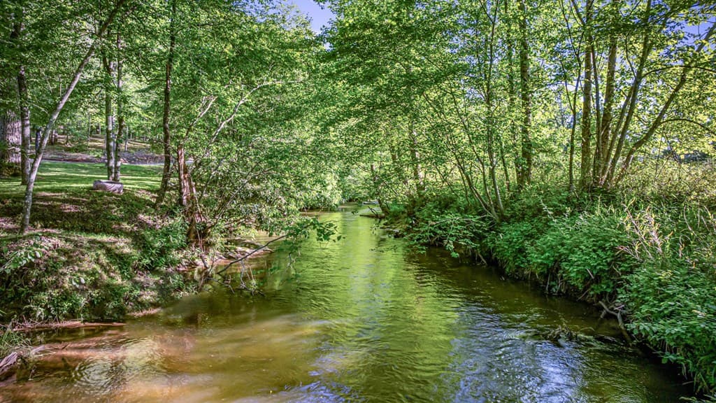 390 Sunny Brook Road, Blue Ridge GA 30513 - Photo