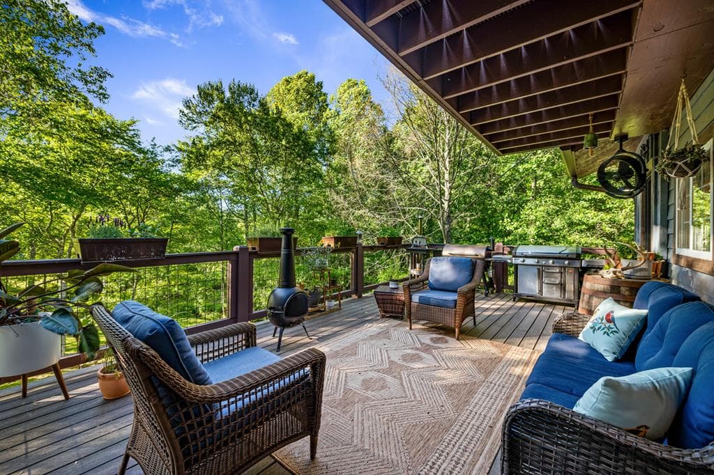 390 Sunny Brook Road, Blue Ridge GA 30513 - Photo