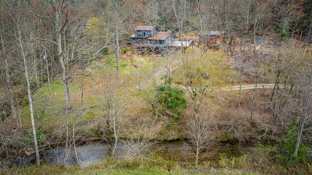 390 Sunny Brook Road, Blue Ridge GA 30513 - Photo