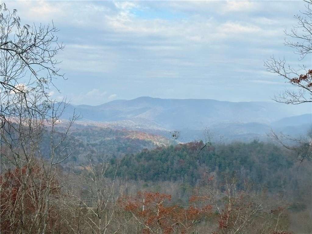456 Back Pine Way, Ellijay GA 30536 - Photo