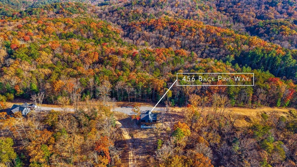 456 Back Pine Way, Ellijay GA 30536 - Photo