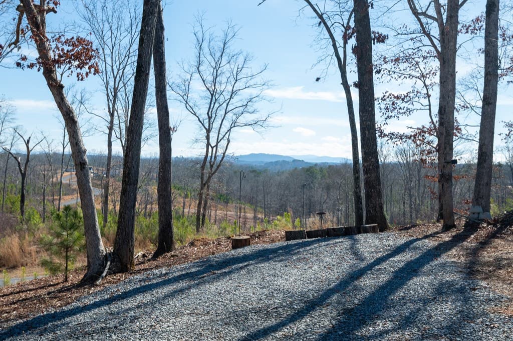 218 Oakwood Lane, Ellijay GA 30540 - Photo