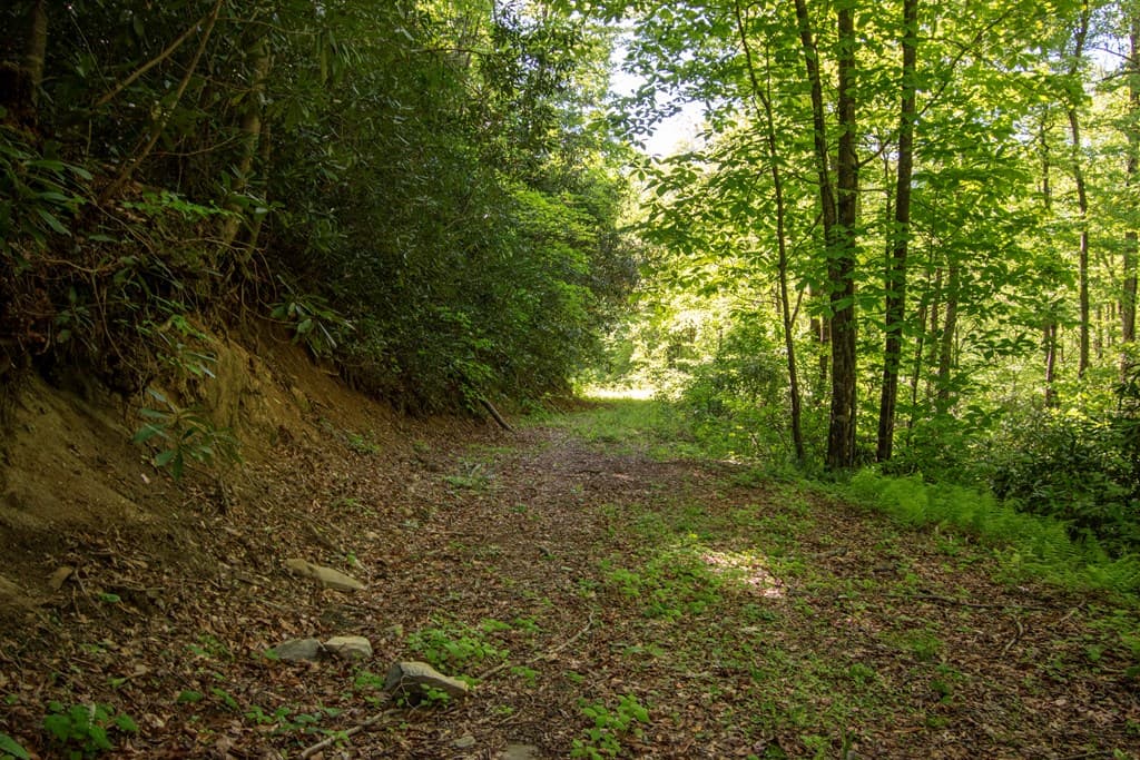 00 Walnut Cove Road, Robbinsville NC 28771 - Photo