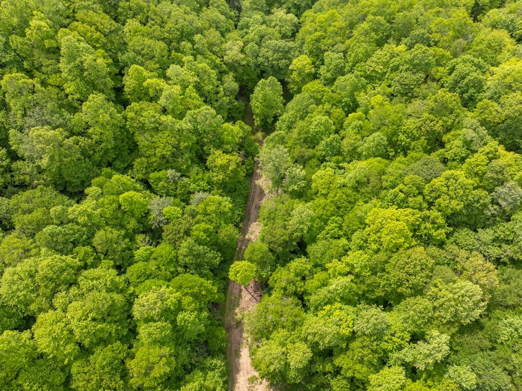 00 Walnut Cove Road, Robbinsville NC 28771 - Photo