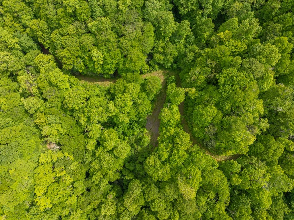 00 Walnut Cove Road, Robbinsville NC 28771 - Photo