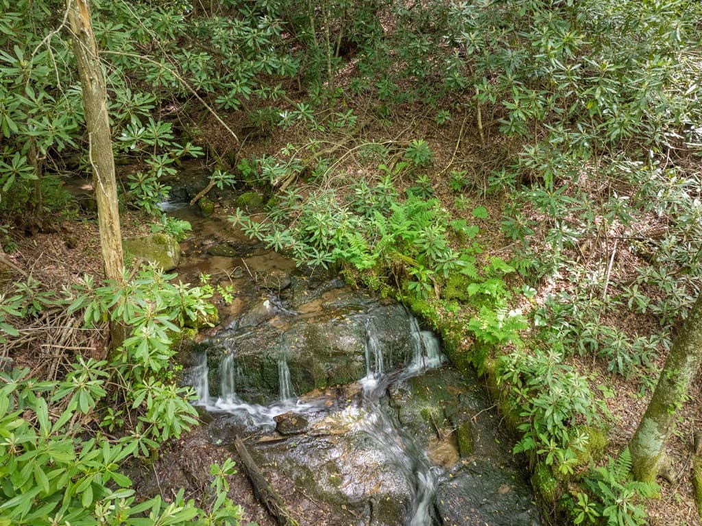 00 Walnut Cove Road, Robbinsville NC 28771 - Photo
