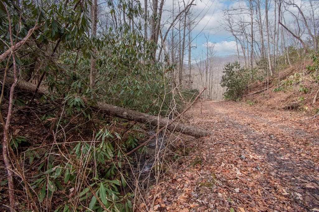 00 Walnut Cove Road, Robbinsville NC 28771 - Photo