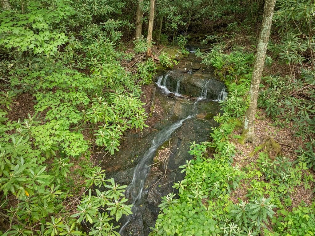 00 Walnut Cove Road, Robbinsville NC 28771 - Primary photo