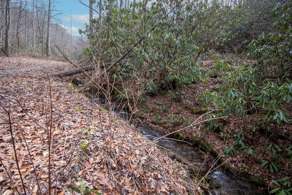 00 Walnut Cove Road, Robbinsville NC 28771 - Photo