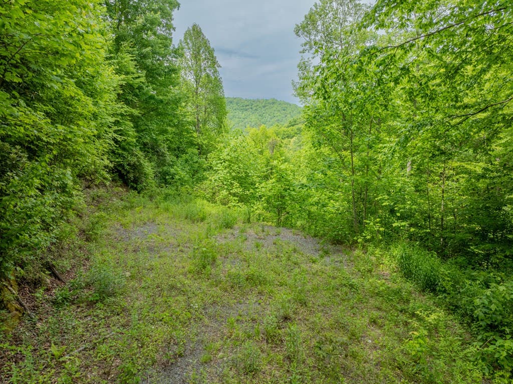 00 Walnut Cove Road, Robbinsville NC 28771 - Photo