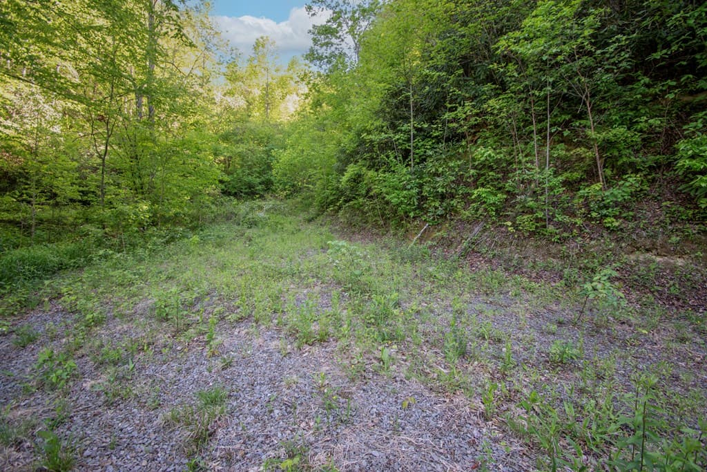 00 Walnut Cove Road, Robbinsville NC 28771 - Photo