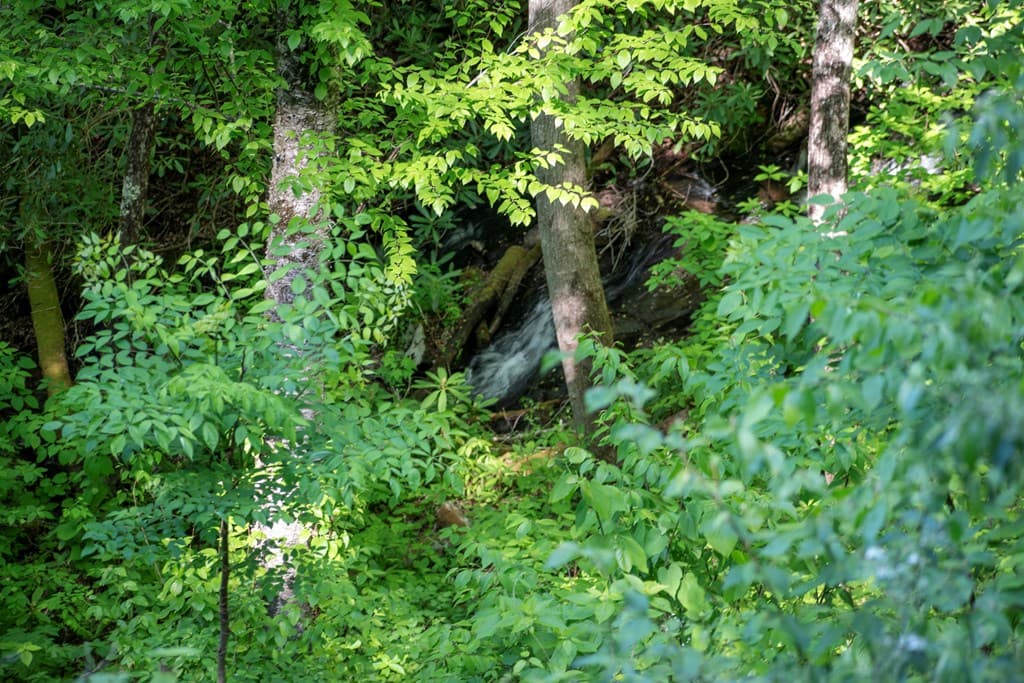 00 Walnut Cove Road, Robbinsville NC 28771 - Photo